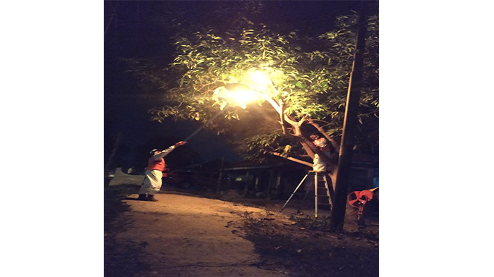 Teror Tawon di Indramayu, BPBD Gencar Musnahkan Sarang Tawon yang Ada di Permukiman Warga