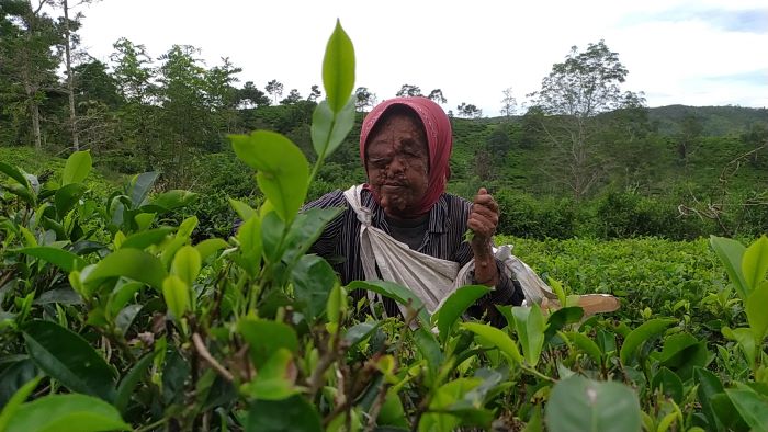 odah-janda-di-sukabumi-menderita-penyakit-aneh.jpg