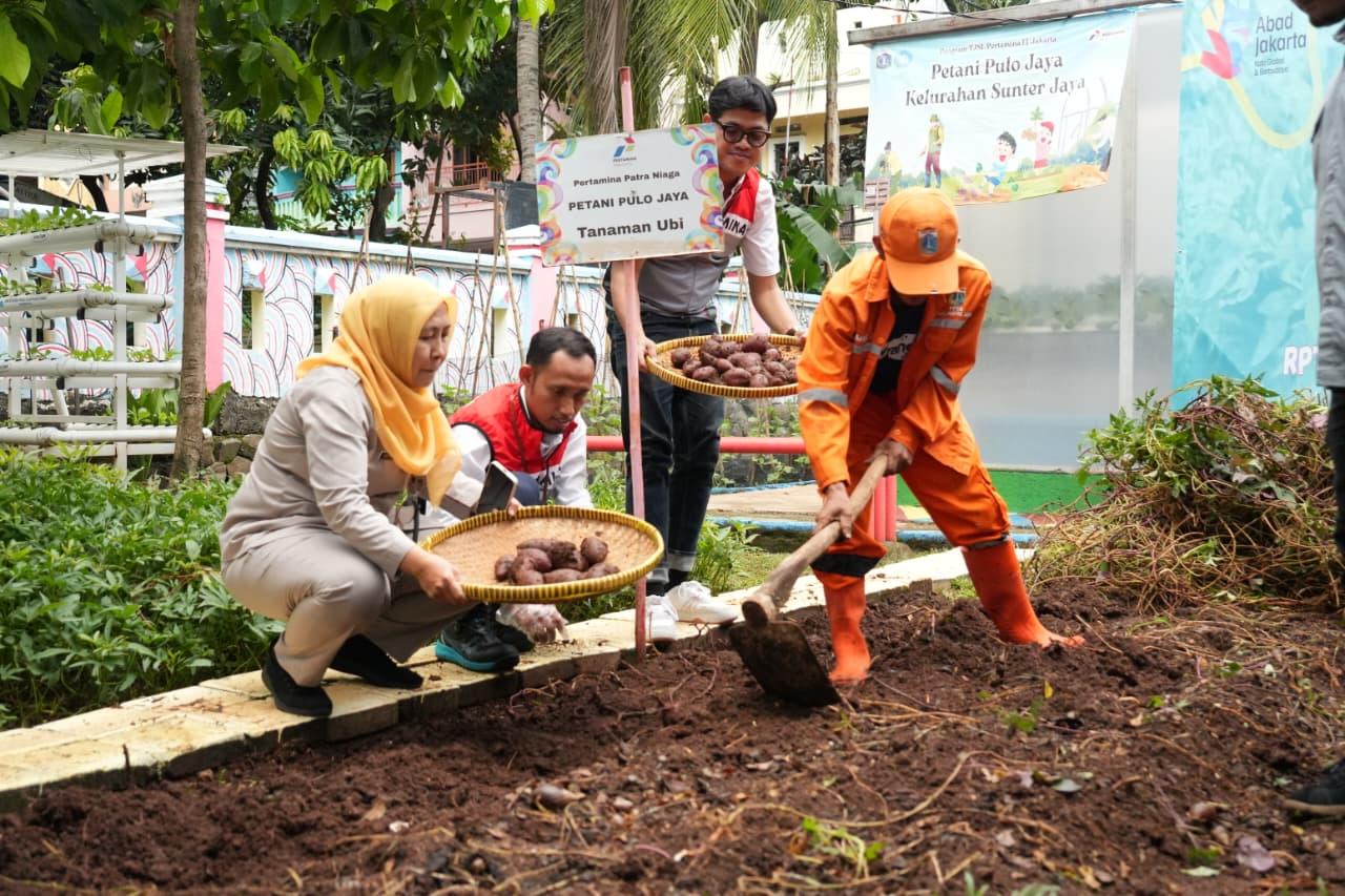 panen-raya-serentak-pertamina-patra-niaga-RJSS.jpg