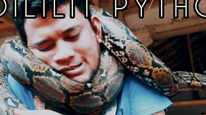 Eksperiman Panji Petualang Gila-gilaan, Lehernya Dililit Ular Piton Liar Sampai Susah Napas