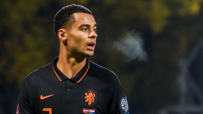 jabar/pemain-depan-belanda-cody-gakpo.jpg