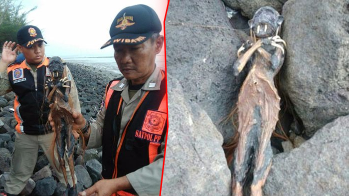 Fakta-fakta Penemuan Jenglot di Surabaya, Kejadian yang Dialami Petugas Satpol PP Bikin Merinding