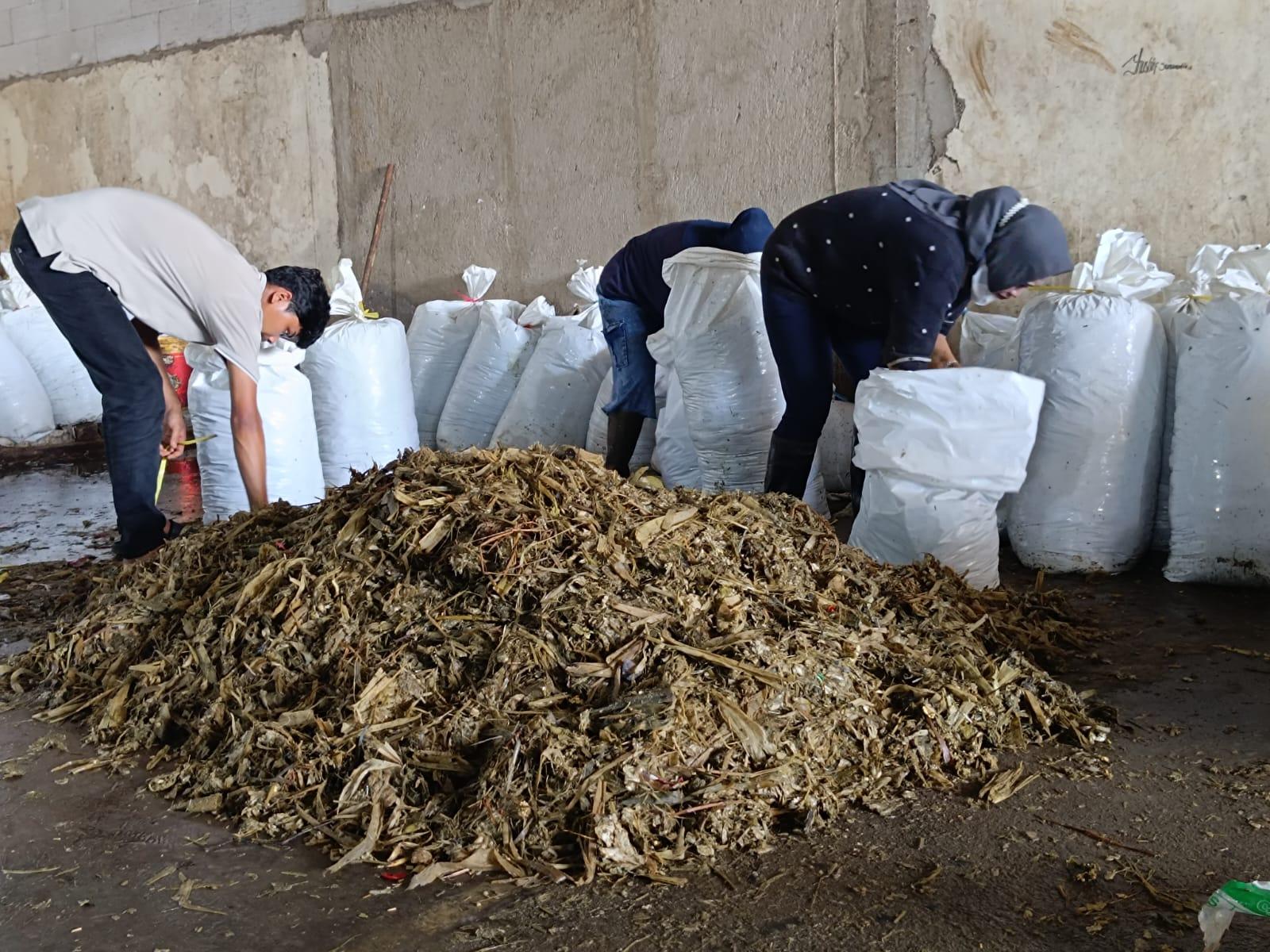Pembuangan Dibatasi, RW di Bandung Ditargetkan Olah Sampah Organik 25 Kilogram per Hari