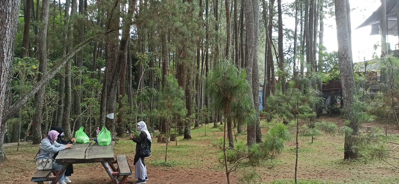 pengunjung-beristirahat-di-bawah-pohon-di-taman-hutan-rakyat.jpg