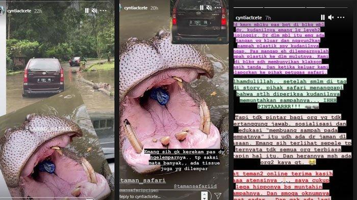 pengunjung-taman-safari-melemparkan-sampah-ke-mulut-kudanil.jpg