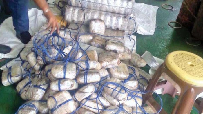 penjaga-pantai-india-icg-menggagalkan-penyelundupan-heroin-seberat-1500-kilogram_20170731_211245.jpg