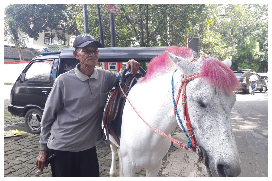 penjaja-kuda-di-jalan-cisangkuy_20171222_162404.jpg