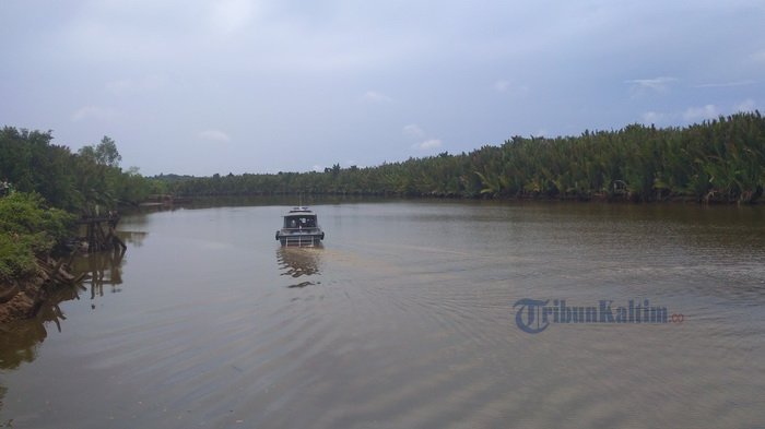 5 Fakta Pria yang Diterkam Buaya di Kaltim, Mengaku Seorang Pawang hingga Keanehan dari Sang Istri