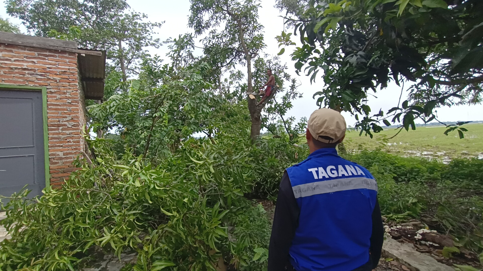Jumlah Rumah Warga yang Terdampak Puting Beliung di Indramayu Bertambah Jadi 27, 50 Pohon Tumbang
