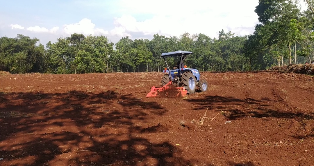 persiapan-lahan-untuk-ditanami-porang-di-wilayah-kabupaten-cianjur.jpg