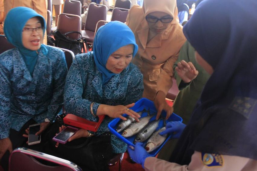 petugas-dari-badan-karantina-ikan-di-cimahi_20170421_204238.jpg