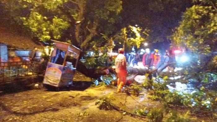 petugas-mengevakuasi-pohon-tumbang-di-kota-cianjur-selasa-9112021-malam.jpg
