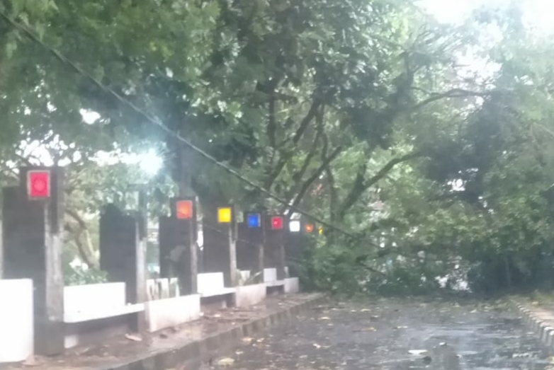 pohon-bertumbangan-tasik-13-februari.jpg