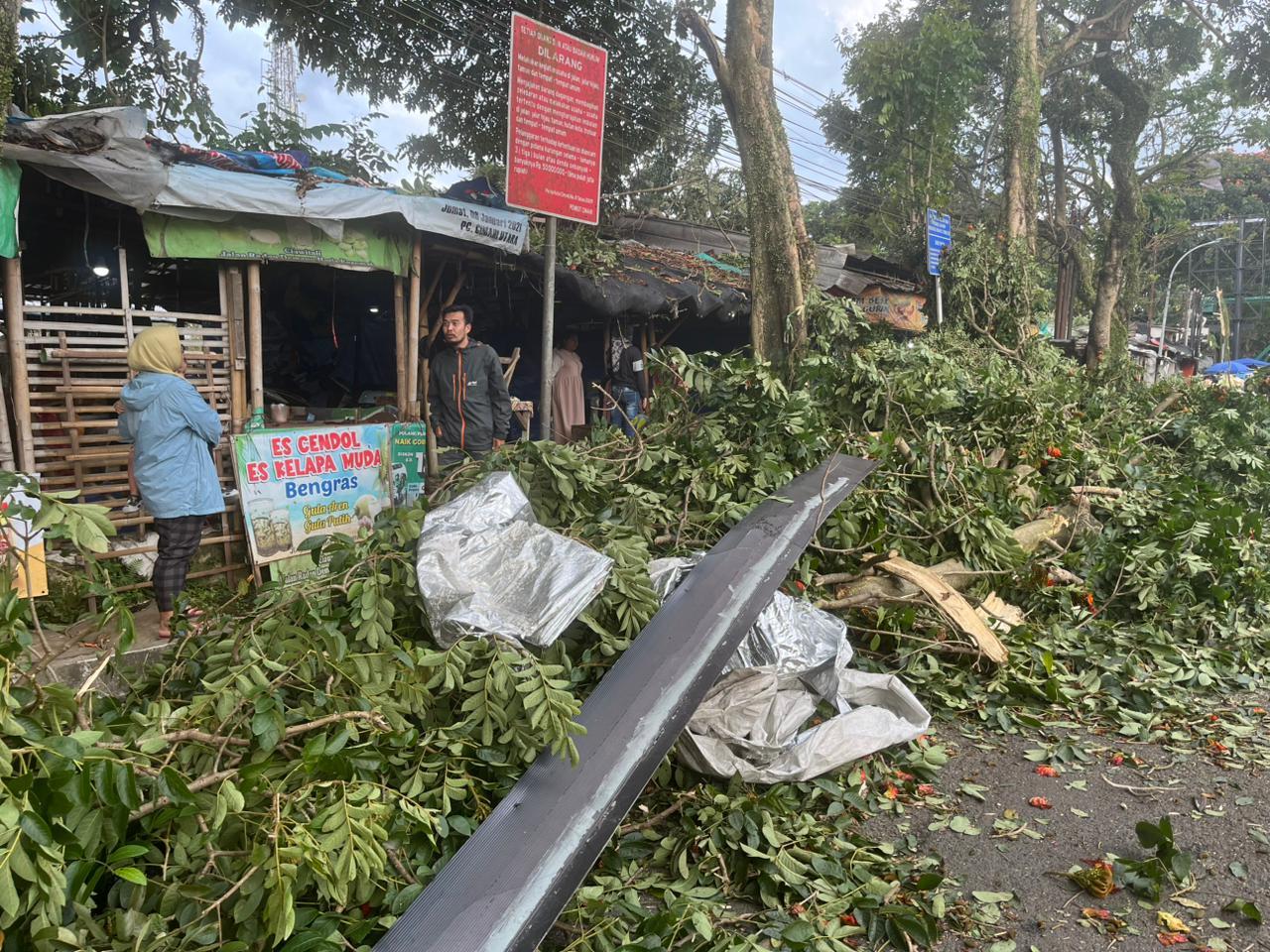 pohon-tumbang-di-Jalan-Raden-Demang-Hardjakusumah-Kota-Cimahi.jpg