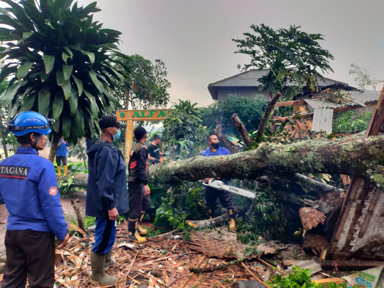 pohon-tumbang-di-cianjur-21-feb.jpg