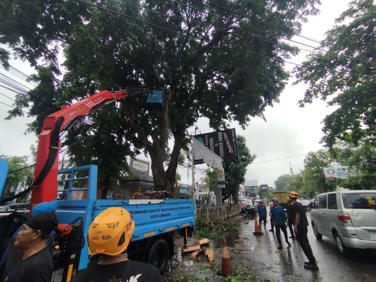 pohon-tumbang-di-kota-cirebon.jpg