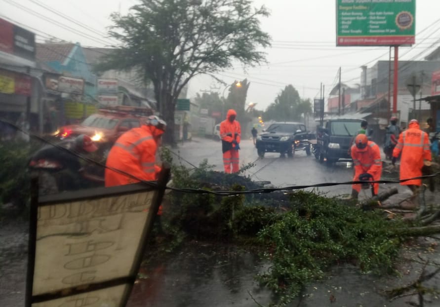 pohon-tumbang-indihiang-tasikmalaya.jpg