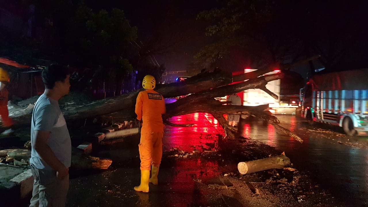 pohon-tumbang-sumedang-9-nov.jpg