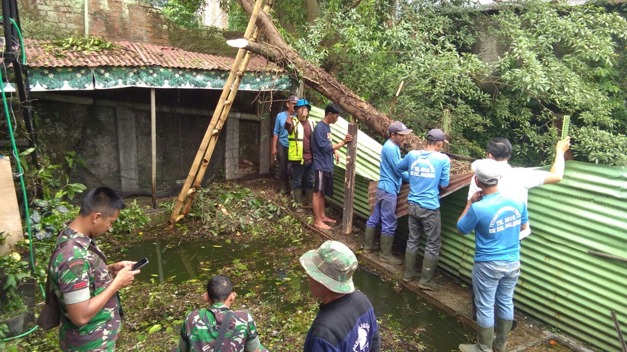 Tumbang, Pohon Berusia 17 Tahun Halangi Aliran Sungai Cibeureum