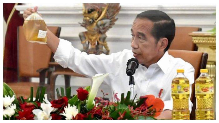 presiden-joko-widodo-atau-jokowi-3.jpg