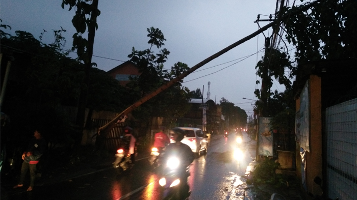 BREAKING NEWS: Pohon Tumbang Menimpa Kabel PLN, Listrik di Sekitar Jalan Cingised Bandung Padam