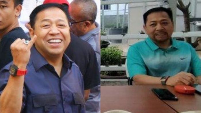setya-novanto-atau-setnov-viral.jpg