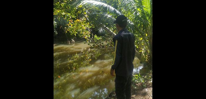 Sesosok Hewan Buas Kagetkan Pemancing di Pangandaran, Diduga Buaya dengan Panjang Lebih 3 Meter