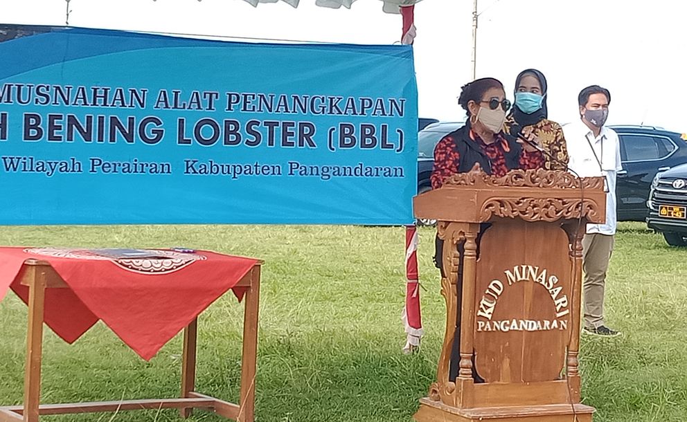 susi-pudjiastuti-senang-bibit-lobster-terjaga.jpg