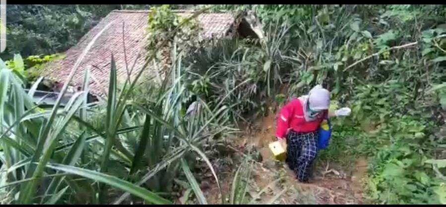Saat Petugas Telik Sandi Naik Turun Gunung Bawa Vaksin Covid-19 untuk Warga di Pelosok Bogor