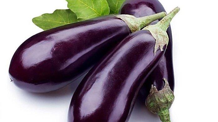 terong-ungu-dan-manfaatnya.jpg