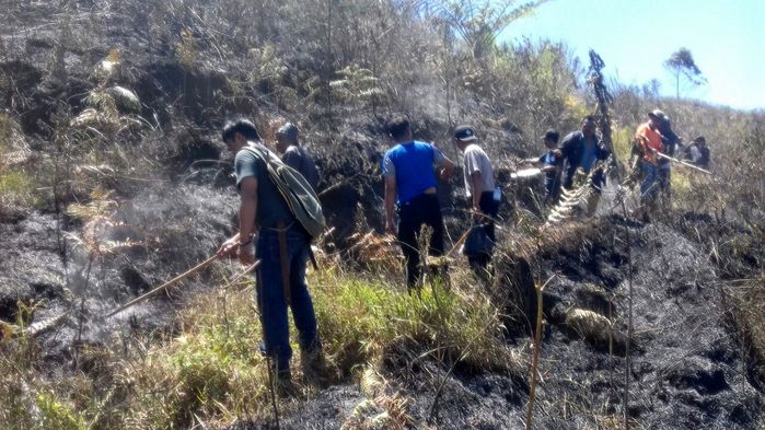10 Hektare Lahan Hutan BKSDA di Kabupaten Bandung Terbakar
