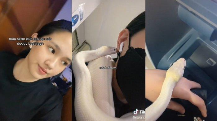 Viral Video Aksi Wanita Bawa Ular saat Setor Uang ke ATM, Warganet: Anti Begal Terampuh