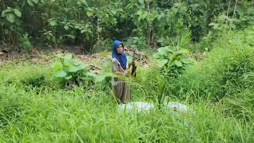 warga-cek-sawit-di-cigobang.jpg