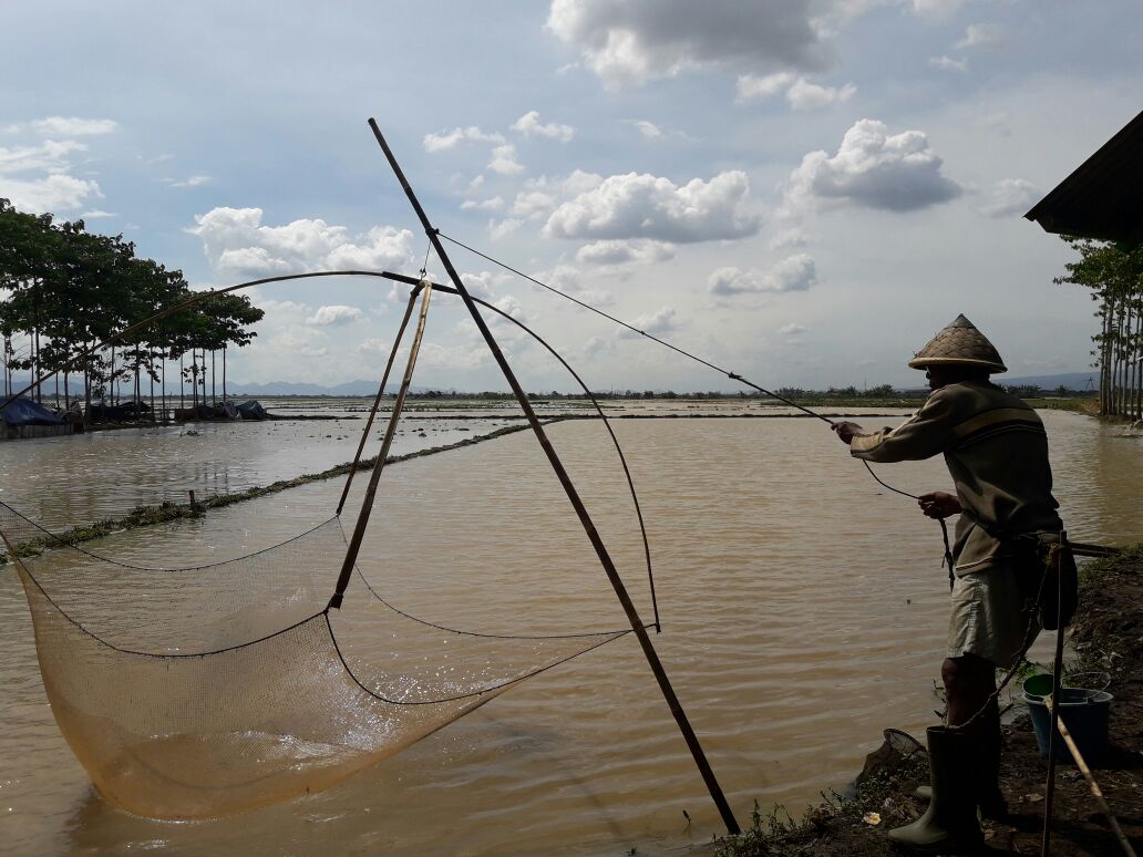 warga-desa-sukamanah-memancing-di-genangan-banjir_20171124_132232.jpg