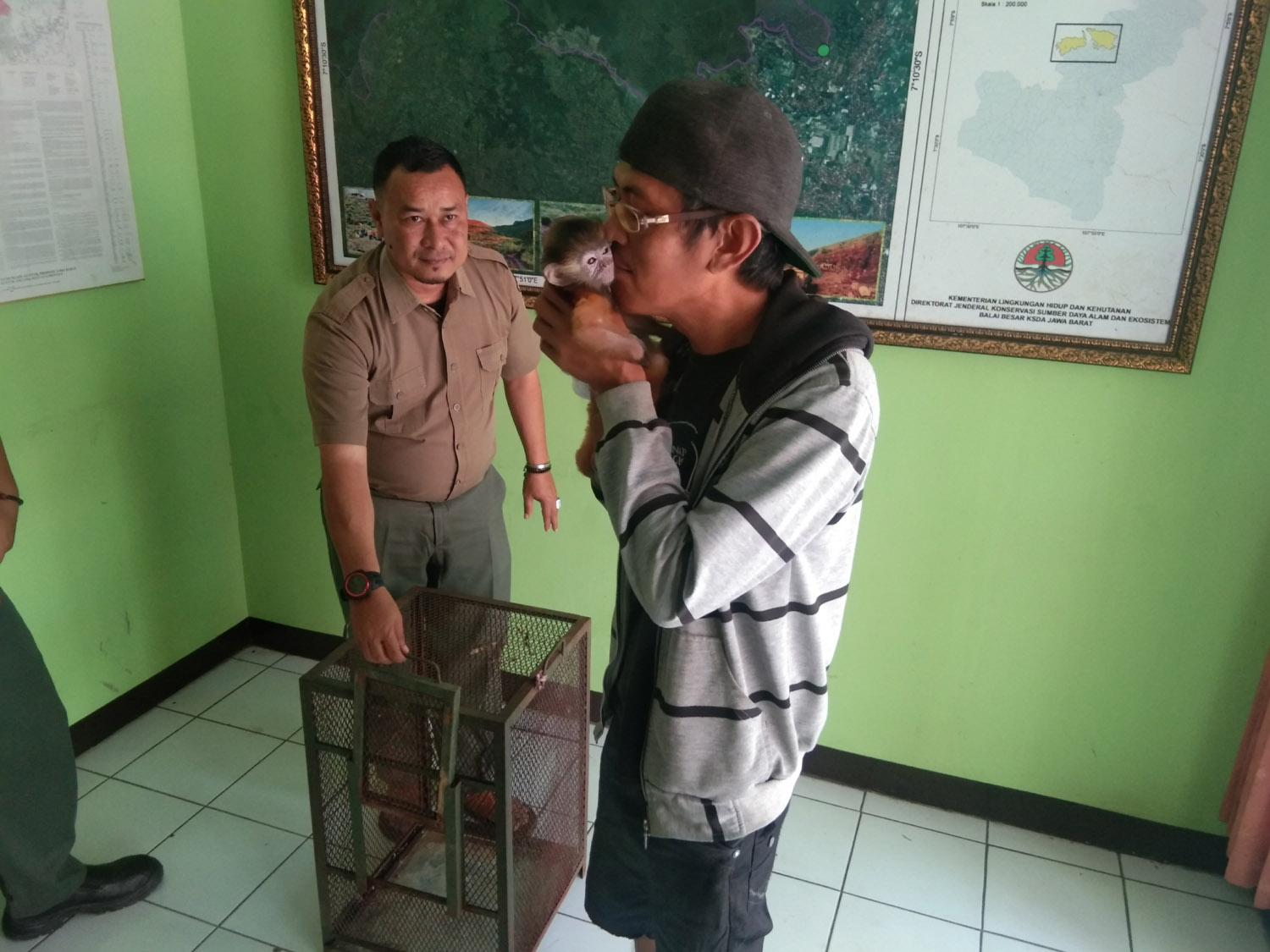 Uus Menangis Saat Serahkan Lutung Jawa ke BKSDA Garut, Manda Dicium Berkali-kali