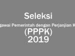 3-bidang-yang-diprioritaskan-dalam-seleksi-pppk-tahap-i-mekanismenya-tak-jauh-berbeda-dari-cpns.jpg