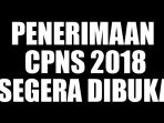 6-hal-penting-terkait-pendaftaran-cpns-2018-siap-siap-untuk-19-september-2018_20180907_165357.jpg