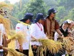Bupati-Cirebon-Imron-panen-raya-di-Cirebon-Jumat-892023.jpg