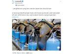 Kepiting-tapal-kuda-sedang-menjadi-perbincangan-viral.jpg