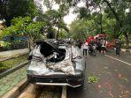 Kondisi-mobil-yang-dikendarai-ibu-dan-anak-setelah-tertimpa-pohon-tumbang.jpg
