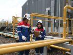 PGN-Belum-Laksanakan-Penyesuaian-Harga-Gas-Industri-Non-HGBT.jpg