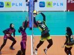 PLN-Mobile-Proliga-2024.jpg