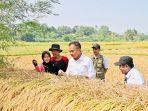 Penjabat-Gubernur-Jabar-Bey-Machmudin-saat-bertemu-dengan-petani-di-Kabupaten-Bogor.jpg