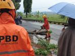 Petugas-BPBD-Purwakarta-menebang-dan-menge.jpg