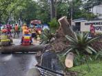 Petugas-DPMKP-Kota-Bandung-menangani-pohon-tumbang-di-Jalan-Surapati.jpg