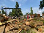 Petugas-mengevakuasi-pohon-tumbang-di-Jalan-Ir-Djuanda-BANDUNG.jpg