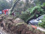 Pohon-Tumbang-Timpa-Mobil-Bandung-5-Oktober-2.jpg