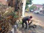 Pohon-rawan-tumbang-di-Jalan-Siliwangi-Cianjur-Kabupaten-Cianjur.jpg