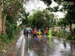 Pohon-tumbang-di-Kota-Sukabumi_31122022.jpg