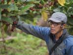Potret-Rainaldi-seorang-prosesor-dan-petani-Kopi-Excelsa.jpg
